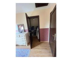 Casă elegantă, spațioasă, ideală pentru familie – Sanmihaiu Roman - Imagine 8