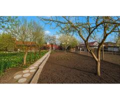 Casă individuală, teren generos de 1.348mp, poziție centrală, Giarmata - Imagine 10