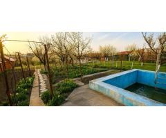 Casă individuală, teren generos de 1.348mp, poziție centrală, Giarmata - Imagine 12