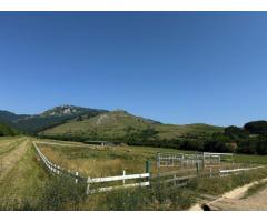 Teren de vanzare – Rimetea, Alba | 9000 mp - Imagine 3