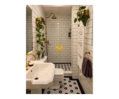 3 camere, Ultracentral Zona Casa de Cultura, Republicii, Pet Friendly - Imagine 4