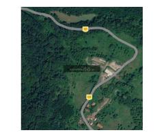 Oportunitate dezvoltare 16418 mp teren, casa la gri cu AC