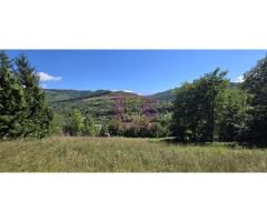 Teren intravilan 1825 mp de vanzare in Valea Doftanei