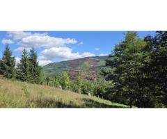 Teren intravilan 1825 mp de vanzare in Valea Doftanei - Imagine 2
