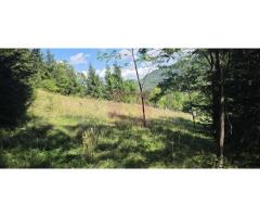 Teren intravilan 1825 mp de vanzare in Valea Doftanei - Imagine 3