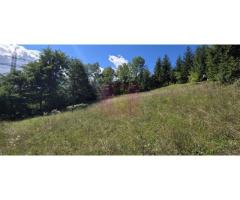 Teren intravilan 1825 mp de vanzare in Valea Doftanei - Imagine 4
