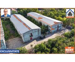 Hale de inchiriat in 1 Decembrie Ilfov | NILS Imobiliare - Imagine 1