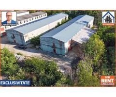 Hale de inchiriat in 1 Decembrie Ilfov | NILS Imobiliare - Imagine 2