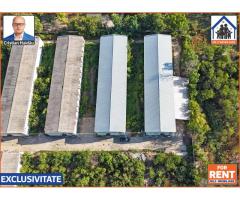 Hale de inchiriat in 1 Decembrie Ilfov | NILS Imobiliare - Imagine 3