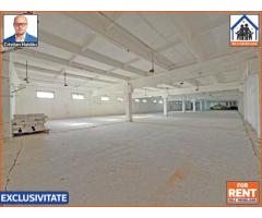 Hale de inchiriat in 1 Decembrie Ilfov | NILS Imobiliare - Imagine 4