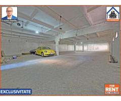 Hale de inchiriat in 1 Decembrie Ilfov | NILS Imobiliare - Imagine 5