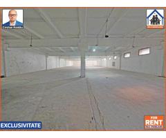 Hale de inchiriat in 1 Decembrie Ilfov | NILS Imobiliare - Imagine 6