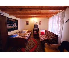 Cabana, anexe si 2000 mp teren intravilan in Taratel, Brad - Imagine 2