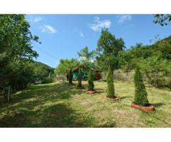 Cabana, anexe si 2000 mp teren intravilan in Taratel, Brad - Imagine 5