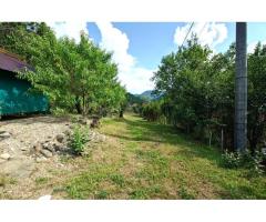 Cabana, anexe si 2000 mp teren intravilan in Taratel, Brad - Imagine 6