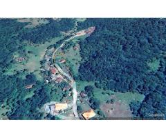 Cabana, anexe si 2000 mp teren intravilan in Taratel, Brad - Imagine 7