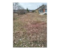 Vând teren lipia Ilfov lângă pădure 4400mp - Imagine 3