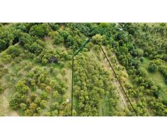 Teren Extravilan - Imagine 2