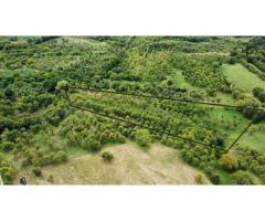 Teren Extravilan - Imagine 3