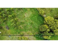 Teren Extravilan - Imagine 5