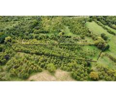 Teren Extravilan - Imagine 6