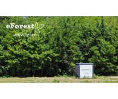 Loturi de casă 720 - 900 mp, langă Pădure în eForest, acces asfaltat - Imagine 5