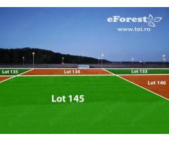 Loturi de casă 720 - 900 mp, langă Pădure în eForest, acces asfaltat - Imagine 7