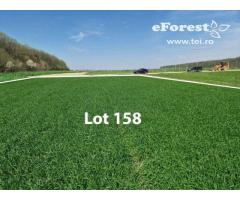Loturi de casă 720 - 900 mp, langă Pădure în eForest, acces asfaltat - Imagine 8