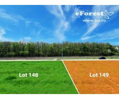 Loturi de casă 720 - 900 mp, langă Pădure în eForest, acces asfaltat - Imagine 9