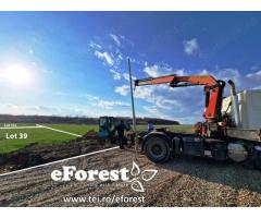 Loturi de casă 720 - 900 mp, langă Pădure în eForest, acces asfaltat - Imagine 10