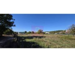 Teren intravilan 3.750 mp de vanzare in Campina