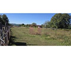 Teren intravilan 3.750 mp de vanzare in Campina - Imagine 4
