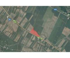 Teren autostrada A1 Pitesti-Bucuresti - Imagine 2