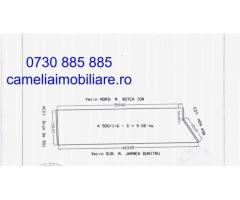 Teren 9HA , investitie, Mihail Kogalniceanu, Constanta - Imagine 2