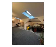 Vila interbelica Ultracentral-proprietate rara, ideal investitie - Imagine 7