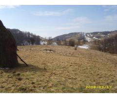 Teren intravilan Rosia, 12 000 mp, cu proiect aprobat. Comision 0. - Imagine 8