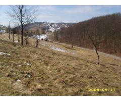 Teren intravilan Rosia, 12 000 mp, cu proiect aprobat. Comision 0. - Imagine 12