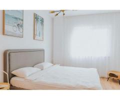 3 camere, ultracentral, Oradea. 235 000 E. Comision 0 - Imagine 12