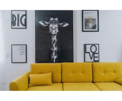 3 camere, ultracentral, Oradea. 239 000 E - Imagine 12