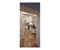 Apartament 2 camere Cismigiu - Imagine 4