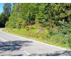 Teren de vânzare în zona Cota 1000 – Sinaia