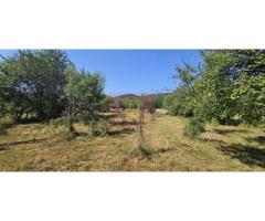 Teren intravilan de vanzare 3375 mp in Brebu