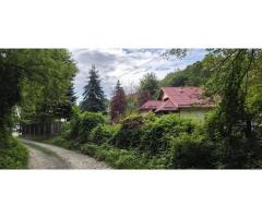 Teren de vanzare 15.000 mp in Telega - Imagine 3