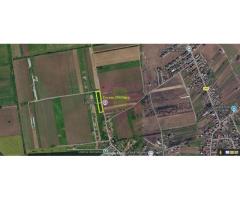 Teren 3500 mp, intravilan, pretabil case, Săbăreni - Imagine 2