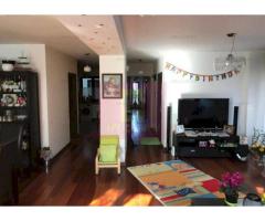 Vila Floreasca- Barbu Vacarescu- stradal. - Imagine 4