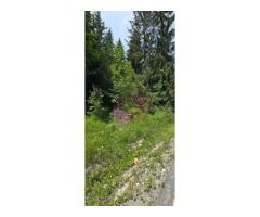 Teren de vânzare în zona Cota 1000 – Sinaia - Imagine 4
