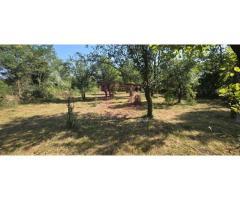 Teren intravilan de vanzare 3375 mp in Brebu - Imagine 4