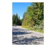 Teren de vânzare în zona Cota 1000 – Sinaia - Imagine 5