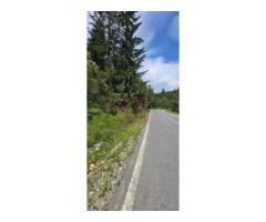 Teren de vânzare în zona Cota 1000 – Sinaia - Imagine 6