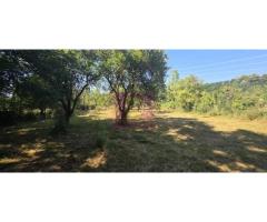 Teren intravilan de vanzare 3375 mp in Brebu - Imagine 5
